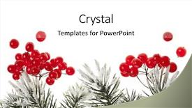  Presentation with christmas card - Colorful slides enhanced with christmas card with copy space backdrop and a  colored foreground