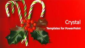  Presentation with christmas holly - Cool new PPT theme with christmas carol - candy cane with pretty holly backdrop and a crimson colored foreground