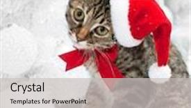  Presentation with christmas red - Cool new presentation theme with christmas cat in red santa' backdrop and a light gray colored foreground
