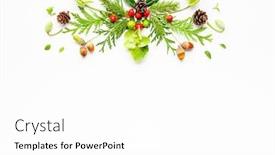  Presentation with christmas holly - Presentation design having christmas composition with branches of spruce and holly with red berries on white background merry christmas greeting card with empty space for holiday text flat lay background and a white colored foreground