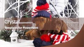  Presentation with scary christmas - Audience pleasing PPT layouts consisting of christmas dachshunds in a hat backdrop and a tawny brown colored foreground