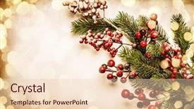  Presentation with christmas holly - PPT theme featuring christmas decoration background fir branches background and a lemonade colored foreground