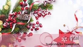  Presentation with christmas holly - Slides having christmas-decoration-background-fir-branches background and a coral colored foreground