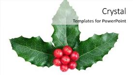  Presentation with christmas holly - Presentation theme featuring christmas decoration holly with berries background and a white colored foreground