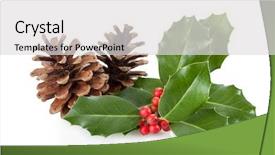  Presentation with christmas holly - Audience pleasing presentation consisting of christmas decoration of holly berry backdrop and a light gray colored foreground