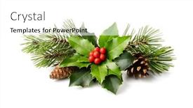  Presentation with pine cone - PPT layouts with christmas-decoration-of-holly-berry background and a  colored foreground