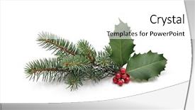  Presentation with christmas holly - Audience pleasing presentation design consisting of christmas decoration of holly berry backdrop and a white colored foreground