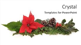  Presentation with spruce - Colorful presentation design enhanced with christmas decoration of poinsettia flower backdrop and a white colored foreground