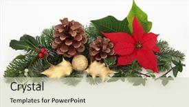  Presentation with red gold white - Colorful PPT layouts enhanced with christmas decoration of red poinsettia backdrop and a soft green colored foreground