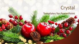  Presentation with christmas holly - Slide set consisting of christmas decoration with fir tree background and a  colored foreground