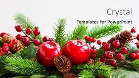 Presentation with christmas holly - PPT theme consisting of christmas decoration with fir tree pine cones red apples and holly berries background and a white colored foreground