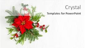  Presentation with holly - Audience pleasing slides consisting of christmas decoration with poinsettia flowers and holly berry on white background festive winter holiday concept flat lay backdrop and a white colored foreground