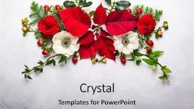  Presentation with christmas holly - Colorful slide deck enhanced with christmas decoration with poinsettia holly backdrop and a light gray colored foreground