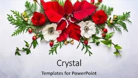  Presentation with christmas holly - Cool new PPT layouts with christmas decoration with poinsettia holly backdrop and a sky blue colored foreground