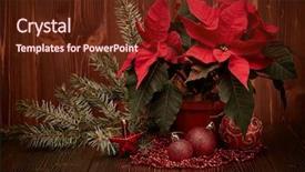  Presentation with new year card - Theme featuring christmas decoration with red poinsettia background and a tawny brown colored foreground