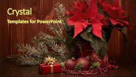  Presentation with christmas red - Slides enhanced with christmas decoration with red poinsettia background and a tawny brown colored foreground