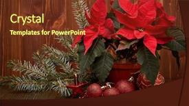  Presentation with new year card - Amazing slides having christmas decoration with red poinsettia backdrop and a tawny brown colored foreground