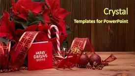  Presentation with christmas red - Presentation having christmas decoration with red poinsettia background and a wine colored foreground