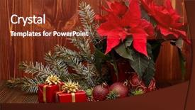  Presentation with christmas red - Colorful slide deck enhanced with christmas decoration with red poinsettia backdrop and a tawny brown colored foreground