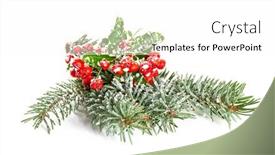  Presentation with spruce - Slides featuring christmas decoration with spruce branch and ivy isolate on white background background and a white colored foreground