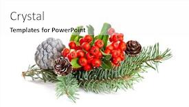  Presentation with spruce - Amazing theme having christmas decoration with spruce branch and ivy isolate on white background backdrop and a white colored foreground