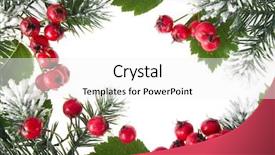  Presentation with decoration - Slides featuring hawthorn berries winter red - christmas decoration background and a sky blue colored foreground