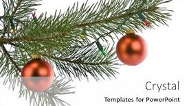  Presentation with pine - Amazing theme having christmas decorations on pine branch isolated on white backdrop and a white colored foreground