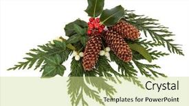  Presentation with christmas holly - Audience pleasing presentation design consisting of christmas decorative arrangement of holly backdrop and a soft green colored foreground