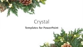  Presentation with gold border - Slide set with christmas decorative background border with gold pine cones ivy mistletoe cedar and juniper leaf sprigs over white background and a white colored foreground