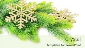  Presentation with snowflakes - Presentation theme with christmas-decorative-snowflakes-on-fir background and a mint green colored foreground