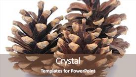  Presentation with pink and white - Audience pleasing presentation consisting of unlock customer - internet security protected protection concept backdrop and a seafoam green colored foreground