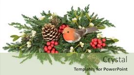  Presentation with pine cone - Audience pleasing presentation consisting of christmas display with robin decoration holly pine cone mistletoe cedar cypress and juniper leaf sprigs and ivy on white background backdrop and a mint green colored foreground