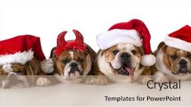  Presentation with dog christmas - PPT layouts featuring christmas dog - cute christmas concept background and a coral colored foreground