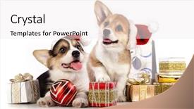  Presentation with dog christmas - Cool new PPT layouts with christmas dog - puppies corgi wearing a santa backdrop and a white colored foreground