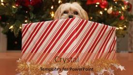  Presentation with cute christmas pug puppy dog - Audience pleasing slide set consisting of christmas-dog-a-beautiful-morkie backdrop and a red colored foreground