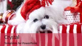  Presentation with super hero dog red - PPT theme featuring christmas dog gnome background and a red colored foreground