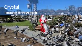  Presentation with santa - Presentation with christmas dove - santa claus feeds pigeons background and a teal colored foreground