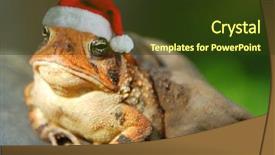  Presentation with christian templar knight looking - Theme consisting of christmas elf - serious looking frog wearing santa background and a tawny brown colored foreground