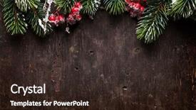  Presentation with christmas holly - Beautiful PPT layouts featuring christmas fir tree and holly backdrop and a wine colored foreground