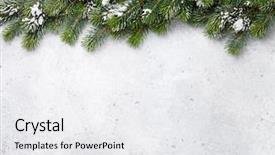  Presentation with olive tree branch ripe - Cool new slides with christmas fir tree branch covered backdrop and a white colored foreground