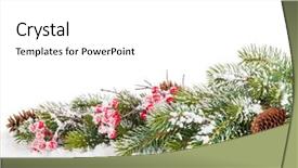  Presentation with christmas holly - Amazing presentation theme having pinecones - christmas fir tree branch backdrop and a white colored foreground