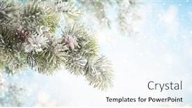  Presentation with winter blue - Presentation design featuring christmas fir tree branches with pine cones on blurred blue background christmas and winter concept background and a cool aqua colored foreground