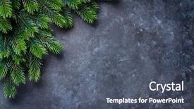  Presentation with fir tree - PPT layouts with christmas fir tree over stone background and a dark gray colored foreground