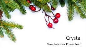  Presentation with christmas border design - Presentation theme enhanced with christmas fir tree pine tree background and a white colored foreground