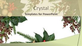  Presentation with red gold white - Presentation having christmas flora with gold baubles holly with red berries ivy fir and winter greenery over white background background and a lemonade colored foreground