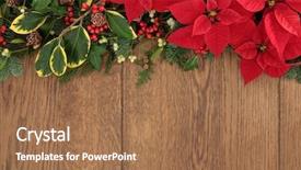  Presentation with christmas red - Presentation theme with christmas flora with red poinsettia background and a coral colored foreground