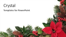  Presentation with flower border - Beautiful presentation theme featuring christmas floral border with poinsettia backdrop and a white colored foreground