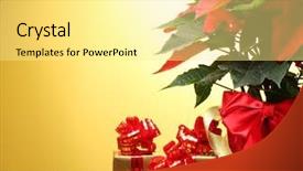  Presentation with gifts - Amazing PPT theme having christmas flower - beautiful poinsettia in flowerpot gifts backdrop and a blonde colored foreground