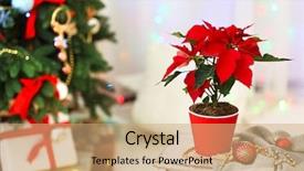  Presentation with interior - Beautiful presentation design featuring christmas flower poinsettia on holiday backdrop and a coral colored foreground