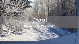  Presentation with forest morning - Presentation design consisting of christmas forest in the snow early morning on sunny meadow with traces of skis background and a gray colored foreground